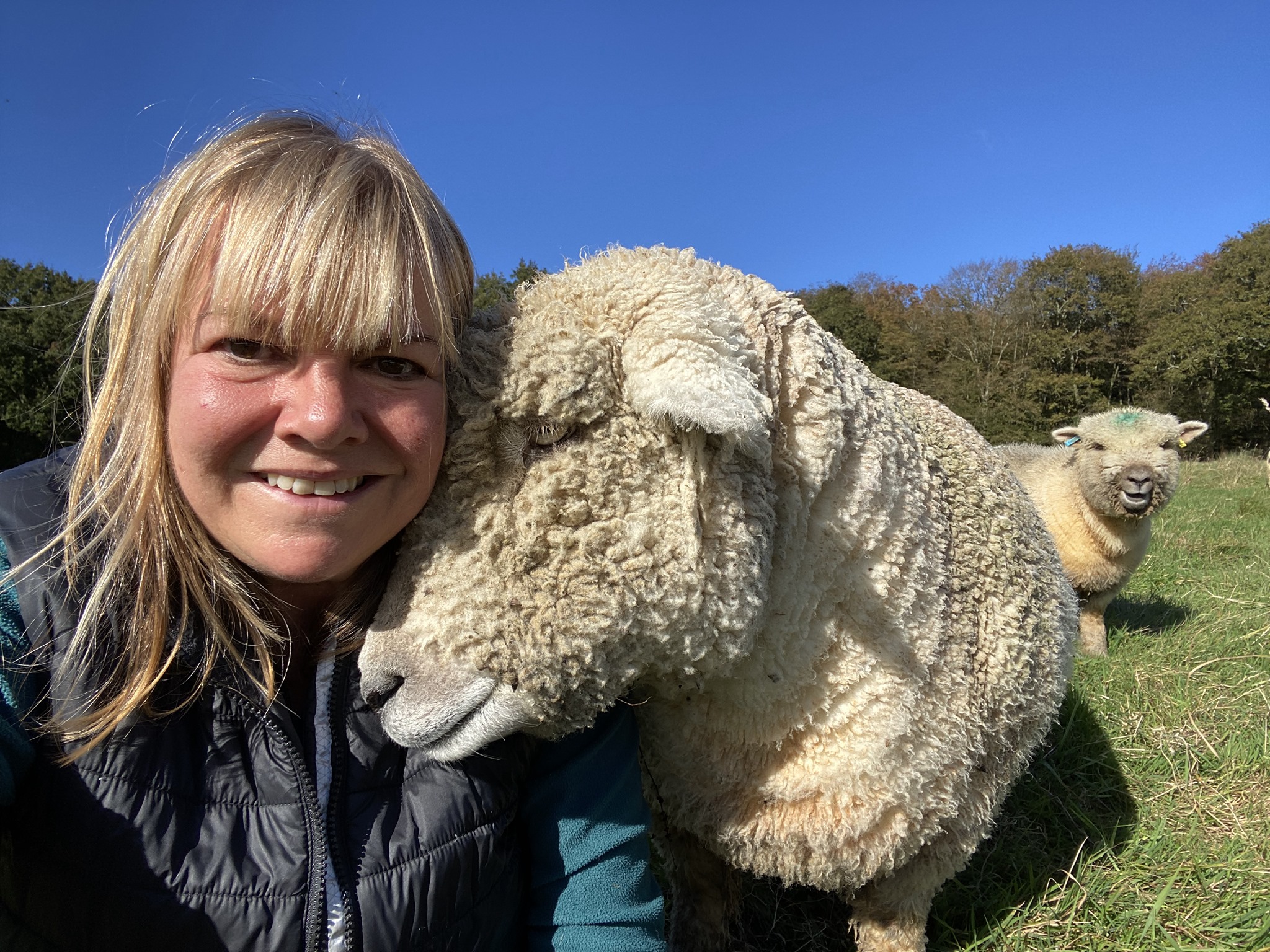 Fliss and Sheep