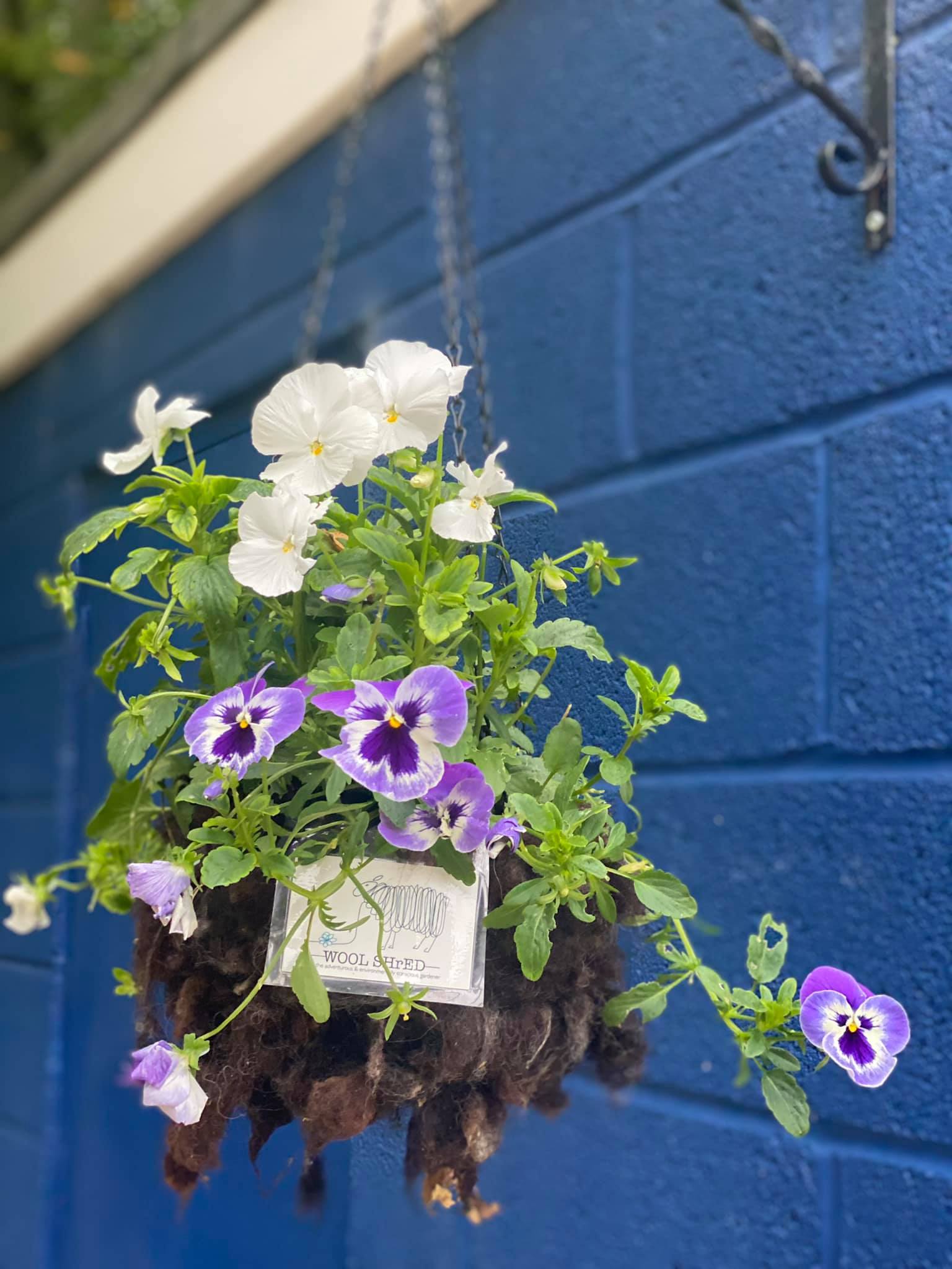 Wool Shred in Hanging Basket