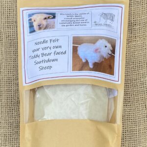 Needle Felting Kit
