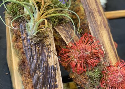 Living Design by Seed2Design