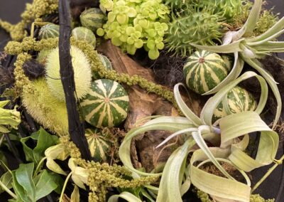 Living Wreath by Seed2Design