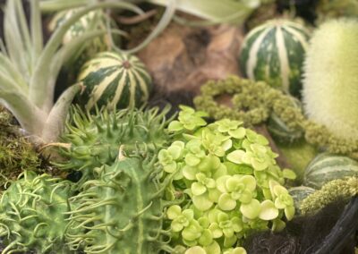 Living Wreath by Seed2Design