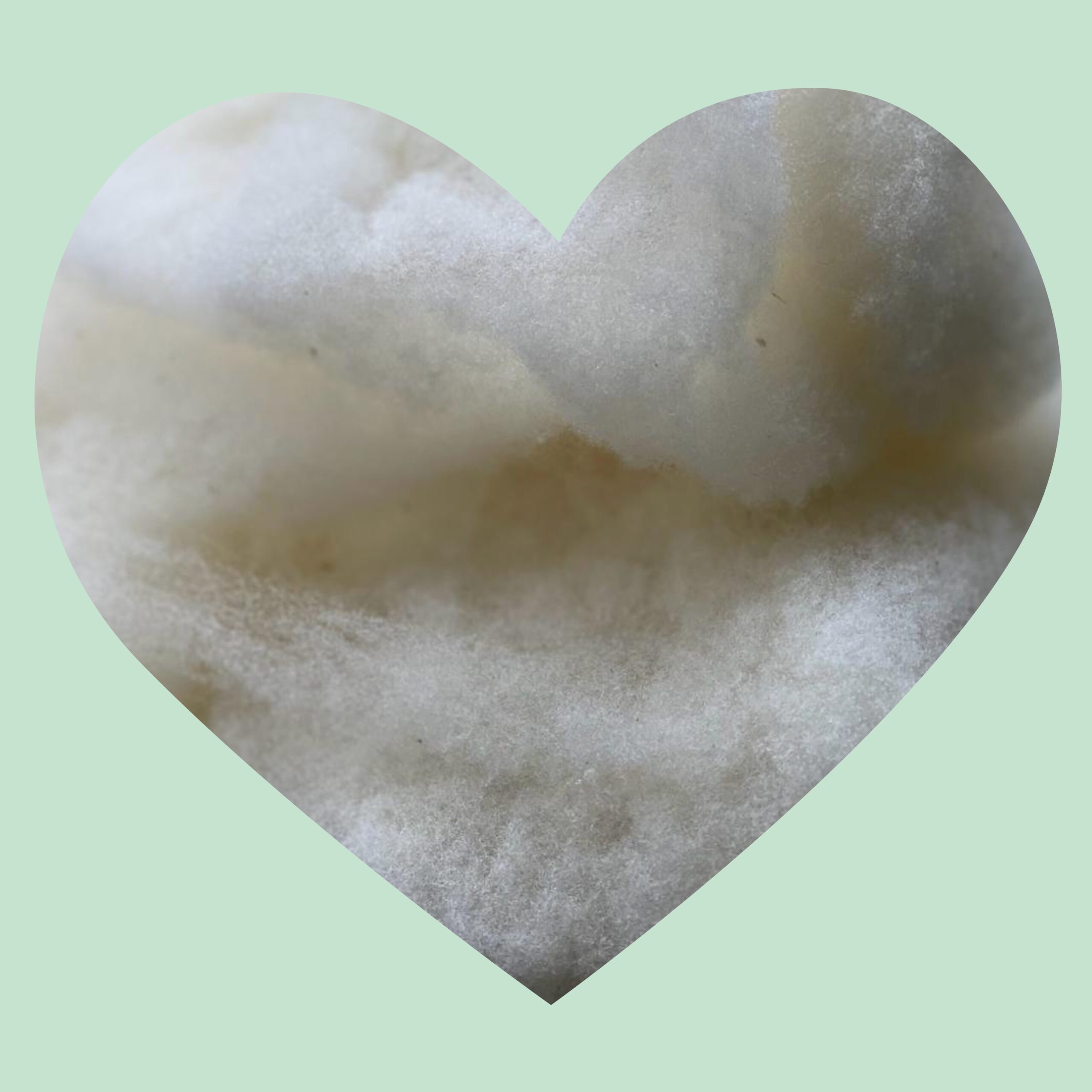 Podiatry Wool