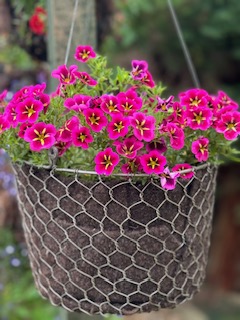 Felt lined hanging basket