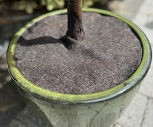 WOOL SHrED Garden Felt Is Here!