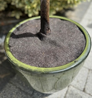 Felt topped pot