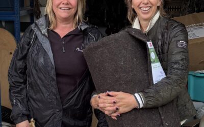 WOOL SHrED Makes It! Where?