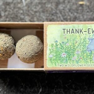 Seed Balls in box