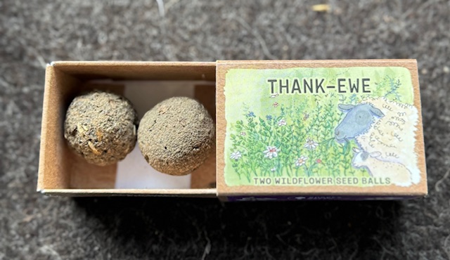 Seed Balls in box