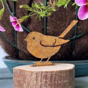 Rusty Rustic Robin