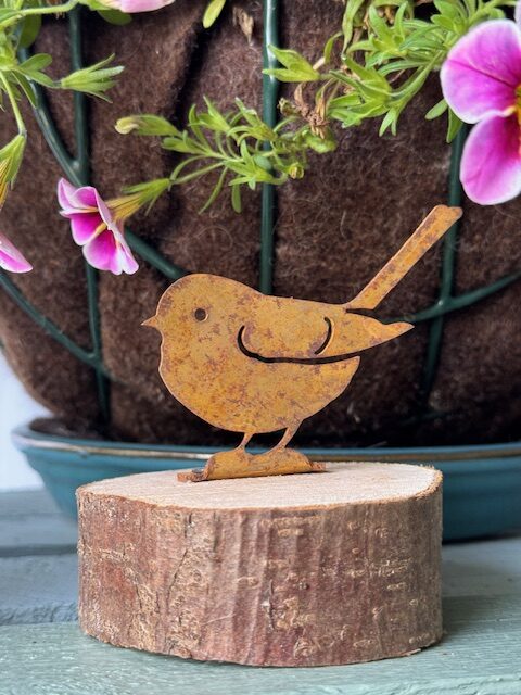 Rusty Rustic Robin