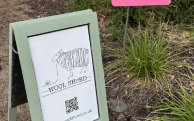 The Good News About British Wool